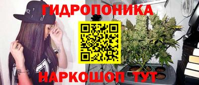 МДМА Камышлов